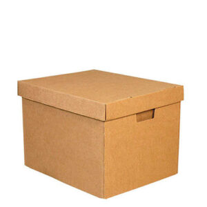 Kapaklı Arşiv Kolisi-30x37x33 cm